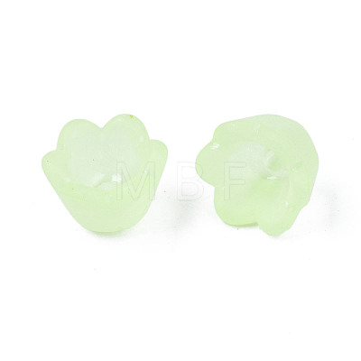 Transparent Acrylic Beads FACR-N005-001-1