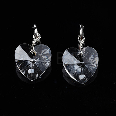 Faceted Transparent Glass Charms GLAA-T024-04L-1