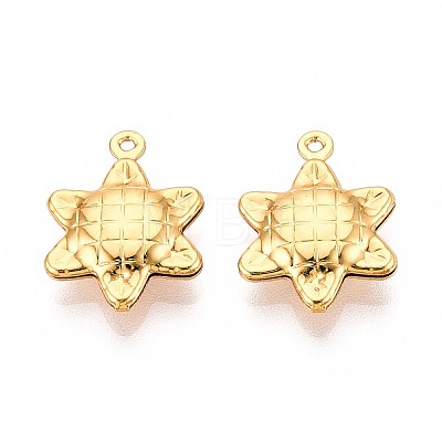 304 Stainless Steel Pendants STAS-N118-07G-1