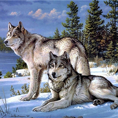 DIY Wolf & Scenery Diamond Painting Kits DIAM-PW0001-252B-1