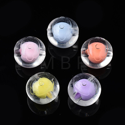 Transparent Acrylic Beads TACR-S135-027-1