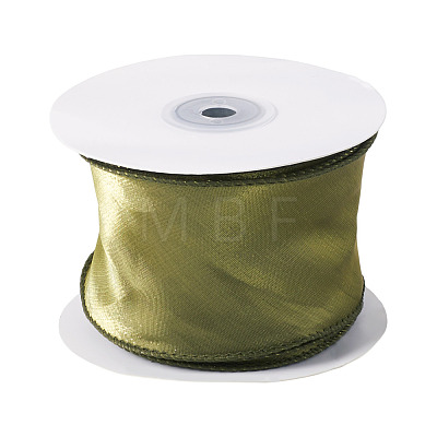 Polyester Mesh Ribbon SRIB-TAC0002-29A-02-1