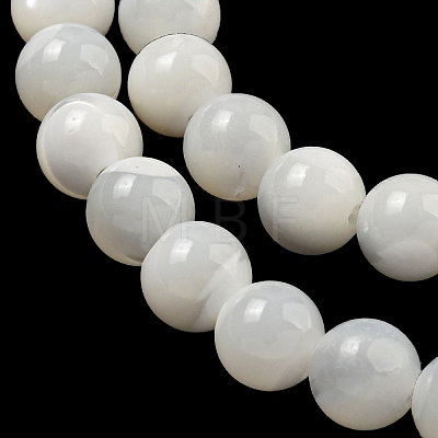 Natural Sea Shell Beads Strands SSHEL-K013-6mm-A-1