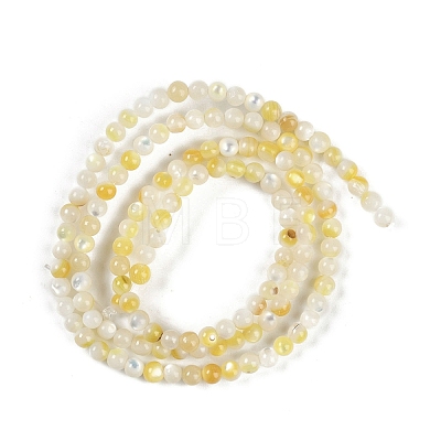 Natural Shell Pearl Beads Strands BSHE-H109-12A-1