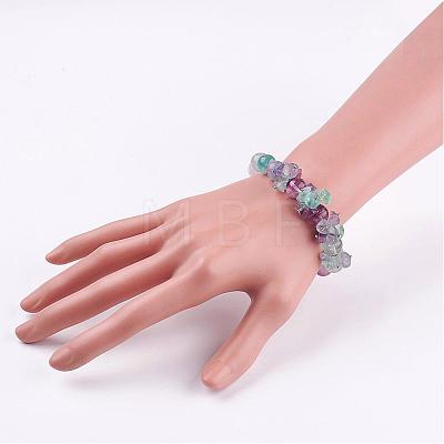 Natural Fluorite Stretch Bracelets BJEW-JB02878-1