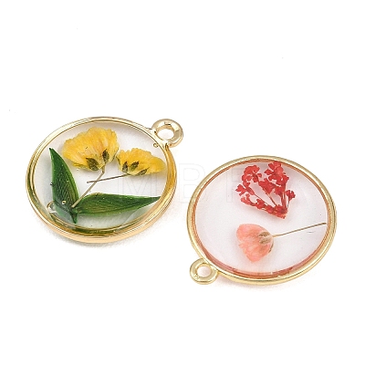 Alloy Epoxy Resin Pendants FIND-Z114-01G-04-1