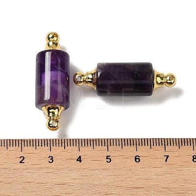 Natural Amethyst Connector Charms G-Z039-01G-02-1