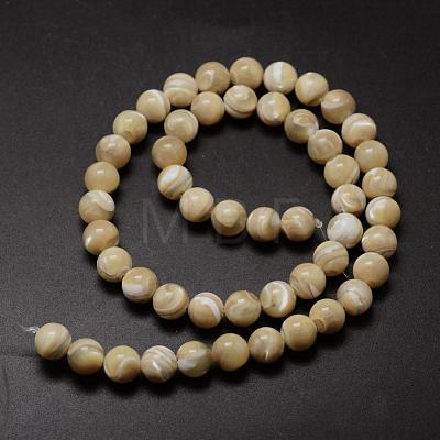 Natural Sea Shell Round Bead Strands SSHEL-M013-8mm-02-1