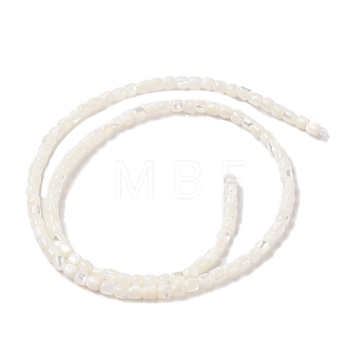 Natural Trochus Shell Beads Strands SHEL-P017-04-1