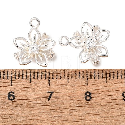 Brass Micro Pave Clear Cubic Zirconia Charms CU-CBAEC99-22S-1