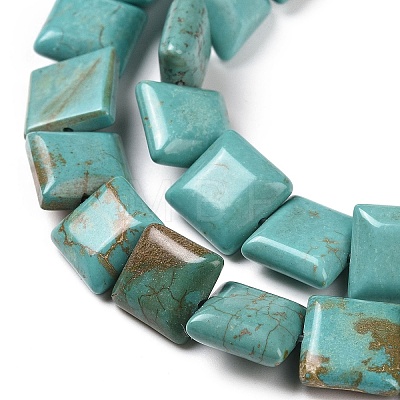 Natural Magnesite Beads Strands TURQ-K003-06A-1