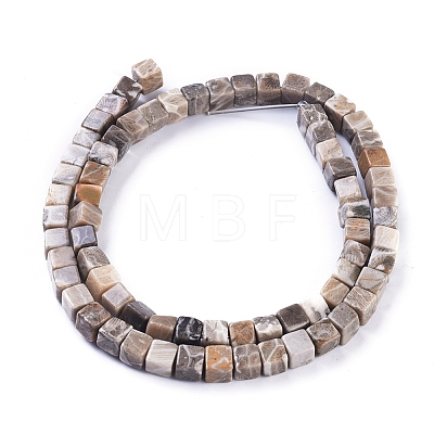 Natural Fossil Coral Beads Strands G-D0020-13A-1