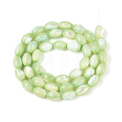 Natural Trochus Shell Beads Strands X-SHEL-K006-19-01C-1