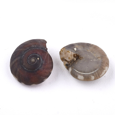 Spiral Shell Beads SSHEL-T005-01-1
