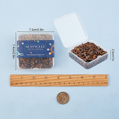 Natural Tiger Eye Chip Beads G-SC0001-23-1