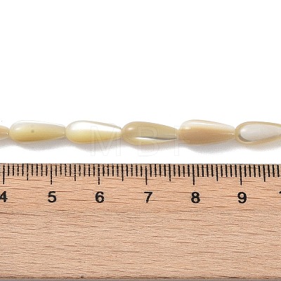 Natural Trochus Shell Beads PEAR-B002-01A-B-1