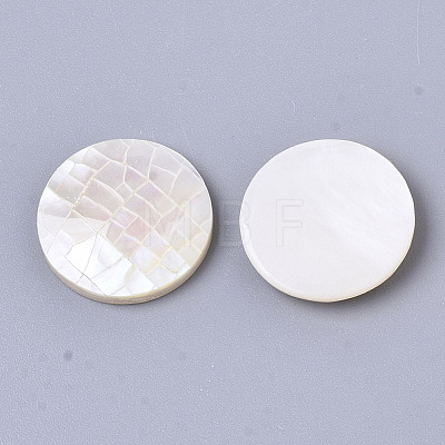 Natural White Shell Mother of Pearl Shell Cabochons SSHEL-N034-42-1