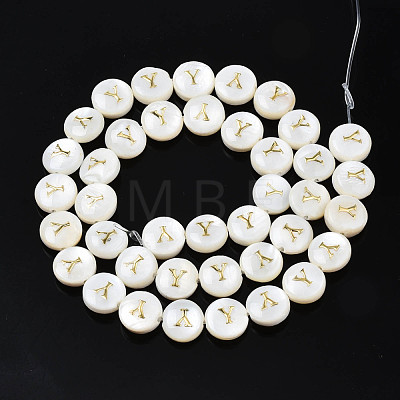 Natural Freshwater Shell Beads SHEL-S276-168Y-1