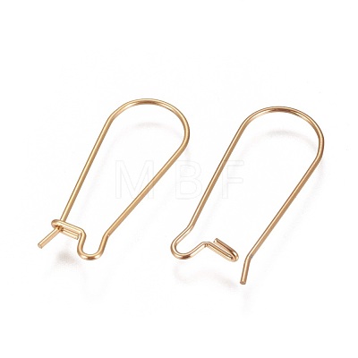 Ion Plating(IP) 304 Stainless Steel Hoop Earrings Findings Kidney Ear Wires STAS-L216-22B-G-1