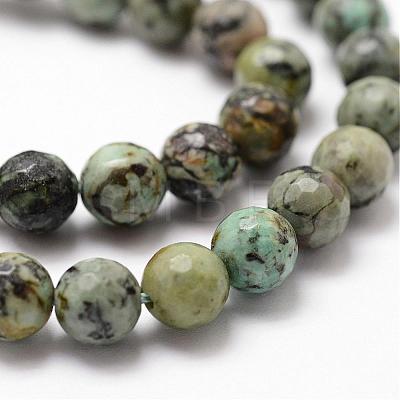 Natural African Turquoise(Jasper) Beads Strands G-D840-15-10mm-1