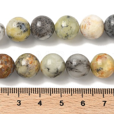 Natural African Opal Beads Strands G-B048-B03-04-1