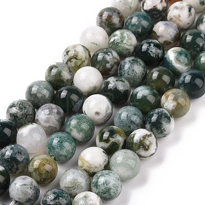 Natural Tree Agate Beads Strands G-K194-8mm-02-1