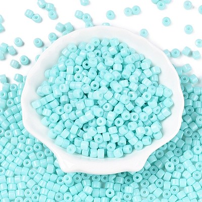 Opaque Baking Paint Glass Seed Beads SEED-T008-02N-1