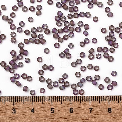 TOHO Round Seed Beads X-SEED-TR08-0166BF-1