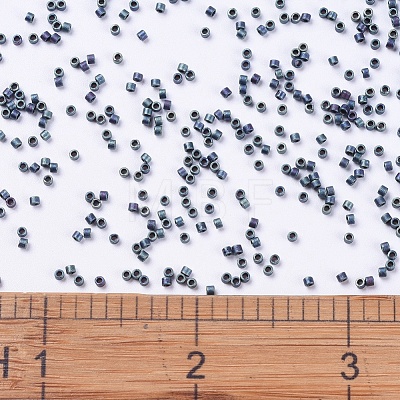 MIYUKI Delica Beads Small X-SEED-J020-DBS0325-1