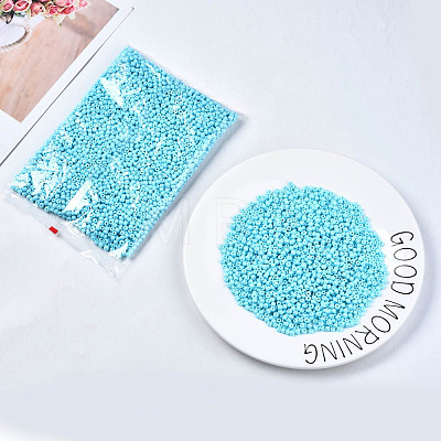 6/0 Glass Seed Beads SEED-S058-A-F436-1