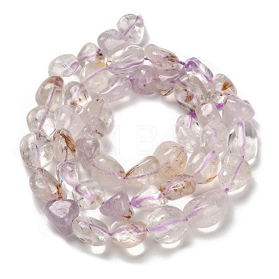 Natural Amethyst Beads Strands G-P497-01E-60-1