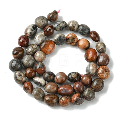 Natural Fossil Coral Beads Strands G-G117-A01-02-1