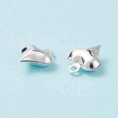 304 Stainless Steel Charms STAS-I138-11A-S-1