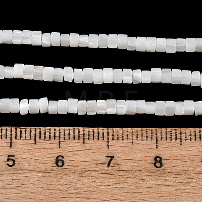 Natural Freshwater Shell Beads Strands SHEL-K006-72C-1