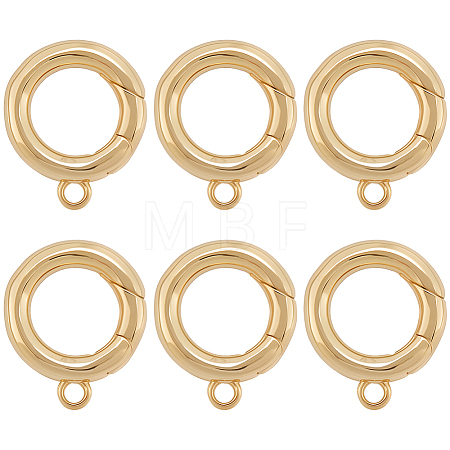 6Pcs Brass Spring Gate Clasps KK-SC0006-42G-02-1