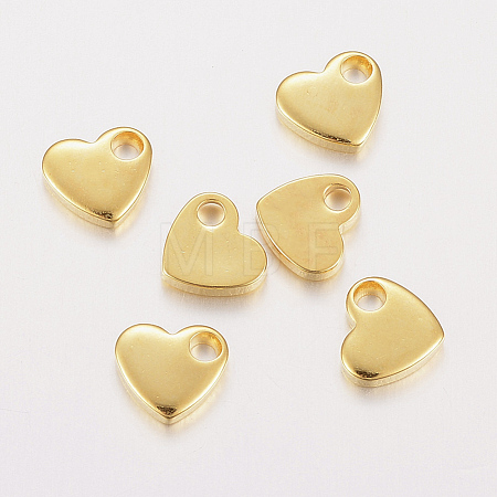 304 Stainless Steel Charms STAS-F162-36G-1