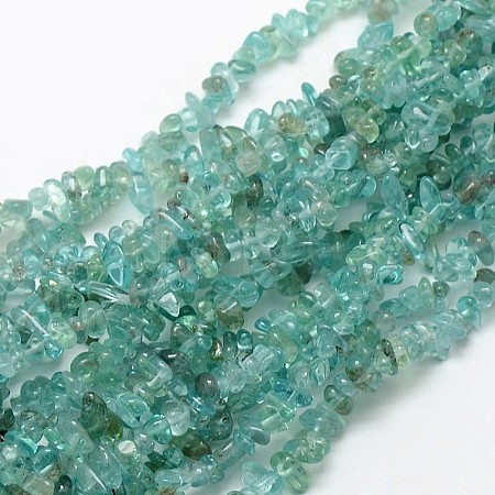 Natural Apatite Chip Beads Strands X-G-L154-23-1