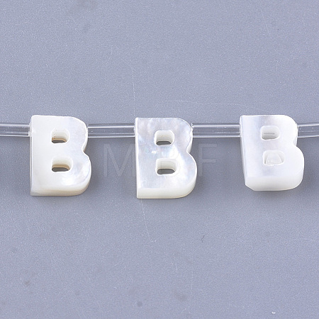 Natural Sea Shell Beads SHEL-T012-60B-1