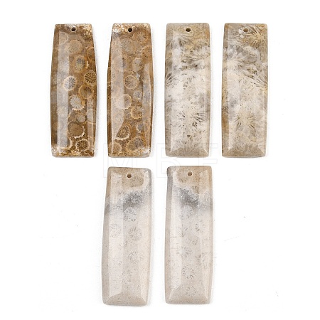 Natural Fossil Coral Pendants G-B187-01C-08-1