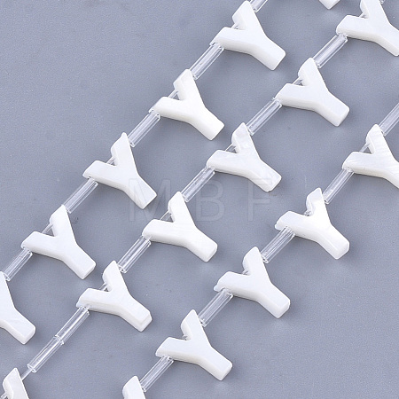 Freshwater Shell Beads X-SHEL-T012-59Y-1