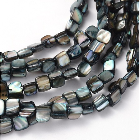 Erose Shell Beads Strands PBB070Y-1