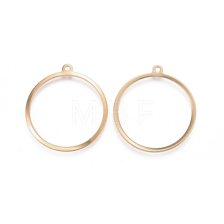 201 Stainless Steel Pendants STAS-F192-023G-1