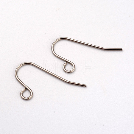 Tarnish Resistant 316L Surgical Stainless Steel Earring Hooks STAS-G229-08P-02-1
