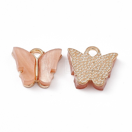 Acrylic Charms MACR-C012-01KCG-09-1