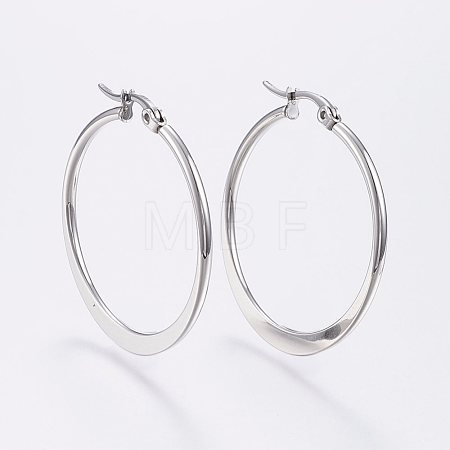 Tarnish Resistant 304 Stainless Steel Hoop Earrings EJEW-F105-20P-1