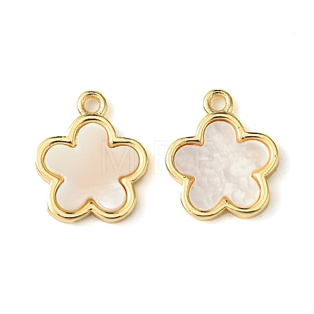 Brass Pave Shell Charms KK-M277-04A-G-1