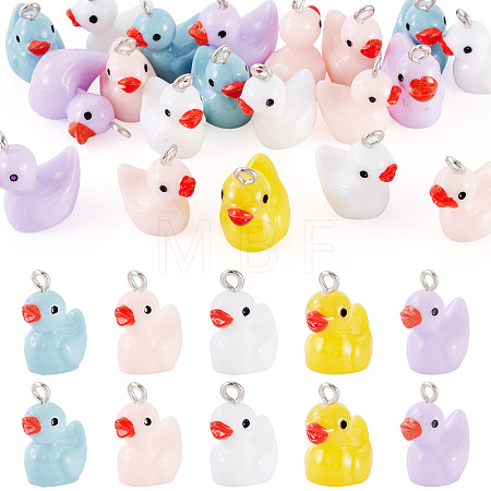 20Pcs Opaque Resin Pendants RESI-TADJ0001-09-1