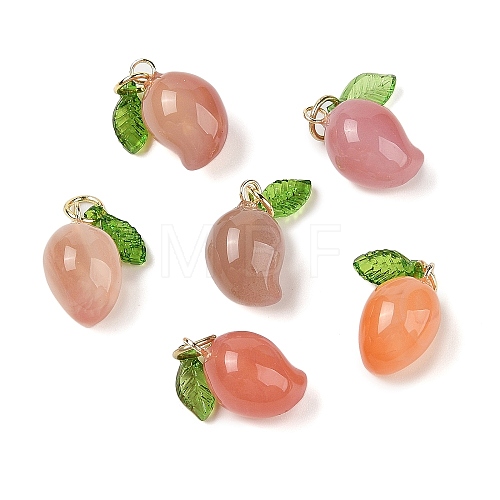 Natural Agate Pendants G-F773-01C-1