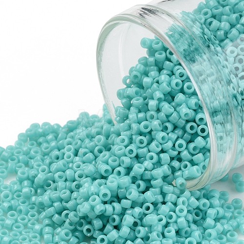 TOHO Round Seed Beads SEED-JPTR11-0055-1