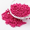 6/0 Baking Paint Glass Seed Beads X-SEED-S003-K5-1